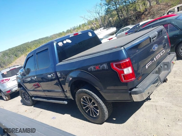 2018 Ford F-150 XL with VIN 1FTEW1EP6JFB30184, listed as a IAAI auction lot 41686597 with 123,148 mi miles. Bid and sale history available at carsss.com. Image 14.