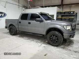2010 Ford F-150 XL with VIN 1FTFW1EV5AFA74662, listed as a Copart auction lot 48384295 with 234,570 mi miles and Clean Title. Bid and sale history available at carsss.com. Image 4.