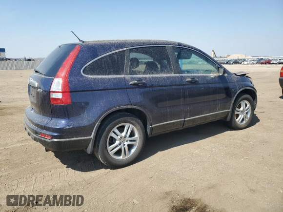 2010 Honda CR-V EX with VIN 5J6RE4H56AL096484, listed as a Copart auction lot 49945545 with 0 mi miles and Clean Title. Bid and sale history available at carsss.com. Image 3.
