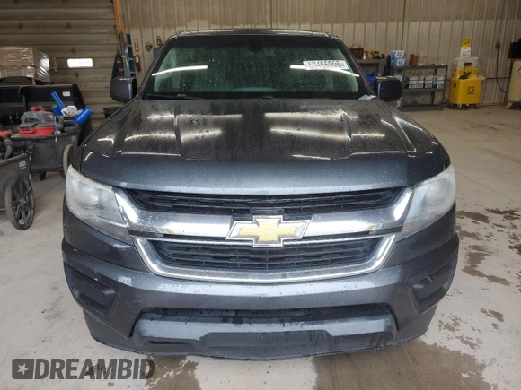 2016 Chevrolet Colorado 2WD WT with VIN 1GCGSBEA7G1325044, listed as a Copart auction lot 60466905 with 175,714 mi miles and Salvage title. Bid and sale history available at DreamBid. Image 5.