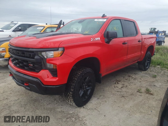 2024 Chevrolet Silverado 1500 Custom Trail Boss with VIN 3GCUDCEDXRG343846, listed as a Copart auction lot 79827194 with 2,163 mi miles and Non Repairable. Bid and sale history available at carsss.com. Image 1.