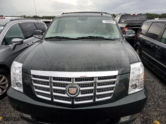 2013 Cadillac Escalade EXT Premium with VIN 3GYT4NEF7DG284248, listed as a Copart auction lot 73920034 with NaN miles and Salvage Title. Bid and sale history available at carsss.com. Image 5.