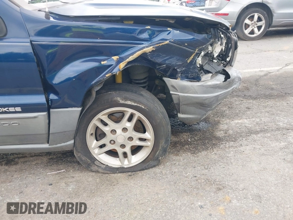 2002 Jeep Grand Cherokee Laredo with VIN 1J4GX48S02C125258, listed as a IAAI auction lot 42388724 with 295,270 mi miles and . Bid and sale history available at DreamBid. Image 6.