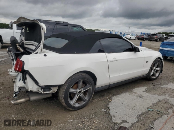 2010 Ford Mustang GT with VIN 1ZVBP8FH6A5158120, listed as a Copart auction lot 56406595 with 114,341 mi miles and Salvage title. Bid and sale history available at DreamBid. Image 3.
