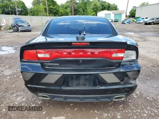 2012 Dodge Charger Police z VIN 2C3CDXAT1CH181827, wystawiony jako Copart lot #58161125 z przebiegiem 117 203 mil mil oraz Szkoda całkowita • Salvage title. Historia ofert i sprzedaży dostępna na DreamBid. Obrazek 6.