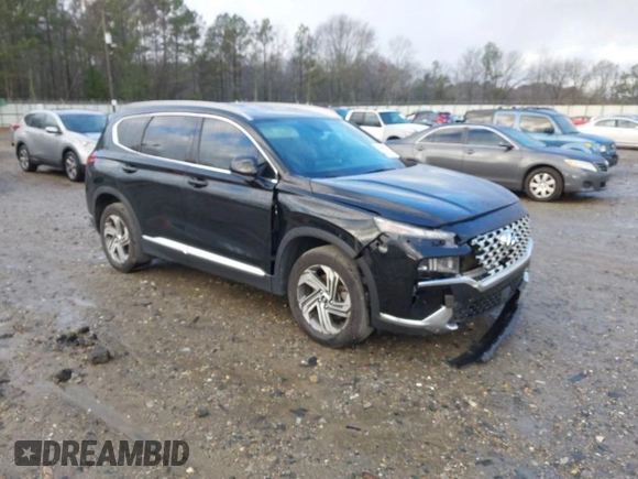 2021 Hyundai Santa Fe SEL with VIN 5NMS24AJ0MH357850, listed as a IAAI auction lot 41207381 with 123,584 mi miles. Bid and sale history available at carsss.com. Image 1.