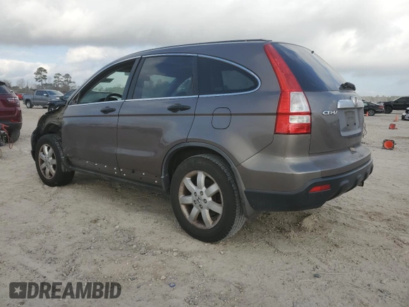 2009 Honda CR-V EX with VIN 5J6RE48569L012210, listed as a Copart auction lot 44031145 with 289,356 mi miles and Salvage Title. Bid and sale history available at carsss.com. Image 2.