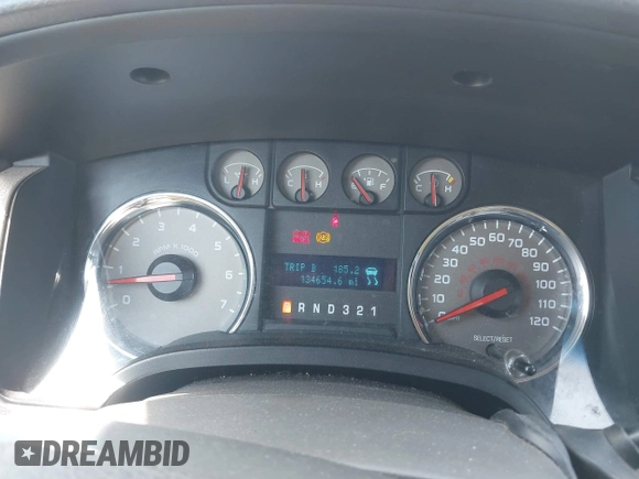 2010 Ford F-150 XL with VIN 1FTEX1E84AFC33271, listed as a IAAI auction lot 42161569 with 134,654 mi miles and . Bid and sale history available at DreamBid. Image 7.