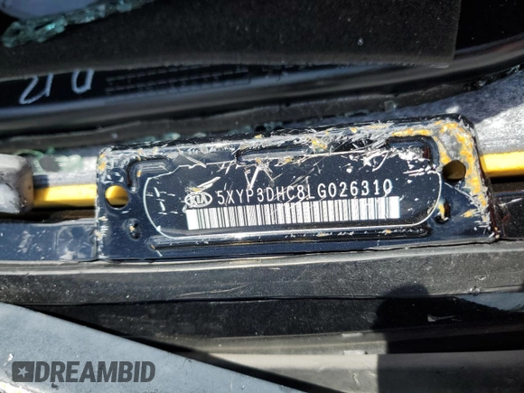 2020 Kia Telluride EX with VIN 5XYP3DHC8LG026310, listed as a Copart auction lot 61509905 with Not provided miles and Non repairable. Bid and sale history available at DreamBid. Image 14.