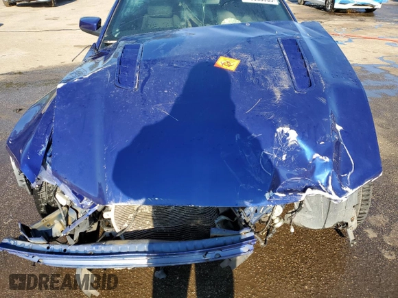 2013 Ford Mustang GT with VIN 1ZVBP8CF9D5269882, listed as a Copart auction lot 45360035 with Not Provided miles and Salvage Title. Bid and sale history available at carsss.com. Image 11.