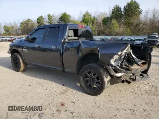 2015 Ram 1500 Outdoorsman with VIN 1C6RR7GT0FS584541, listed as a Copart auction lot 50808545 with 217,505 mi miles and Salvage title. Bid and sale history available at DreamBid. Image 2.