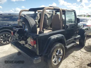 2002 Jeep Wrangler Sahara with VIN 1J4FA59S62P722411, listed as a Copart auction lot 74080364 with 0 mi miles and Non Repairable. Bid and sale history available at carsss.com. Image 3.