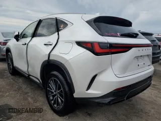 2022 Lexus NX with VIN JTJADCAZ1N5001141, listed as a Copart auction lot 75217764 with 0 mi miles and Salvage Title. Bid and sale history available at carsss.com. Image 2.