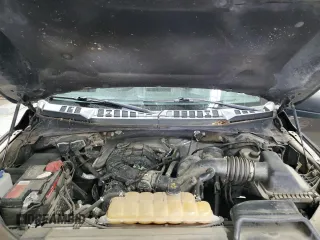 2016 Ford F-150 XLT with VIN 1FTEW1E88GFC81156, listed as a Copart auction lot 60503355 with 137,306 mi miles and Salvage title. Bid and sale history available at DreamBid. Image 11.
