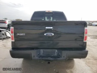 2013 Ford F-150 XL with VIN 1FTFW1CT4DFB36445, listed as a Copart auction lot 48150415 with 317,694 mi miles and Salvage Title. Bid and sale history available at carsss.com. Image 6.