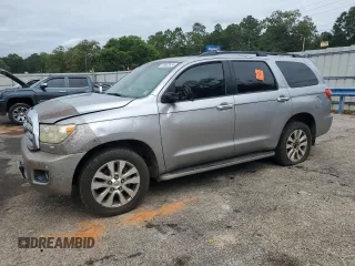 2010 Toyota Sequoia Ltd with VIN 5TDKY5G18AS025949, listed as a Copart auction lot 58602634 with 254,271 mi miles and Salvage Title. Bid and sale history available at carsss.com. Image 1.