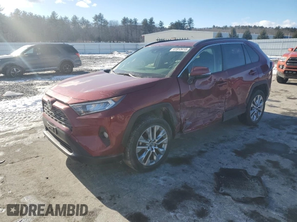 2019 Toyota RAV4 XLE Premium with VIN JTMA1RFV8KD036460, listed as a Copart auction lot 41913415 with 18,446 mi miles and Salvage Title. Bid and sale history available at carsss.com. Image 1.