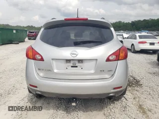 2010 Nissan Murano SL with VIN JN8AZ1MW9AW139254, listed as a Copart auction lot 54681055 with 193,041 mi miles and Clean Title. Bid and sale history available at carsss.com. Image 6.
