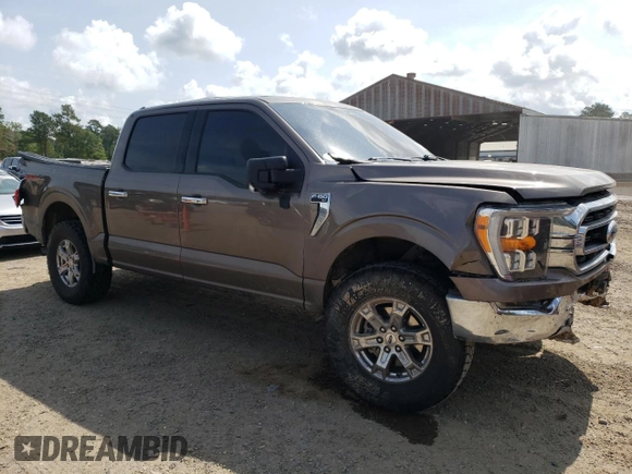 2021 Ford F-150 XL with VIN 1FTFW1E81MFC40903, listed as a Copart auction lot 59618935 with 97,419 mi miles and Salvage title. Bid and sale history available at DreamBid. Image 4.
