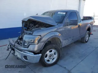 2013 Ford F-150 XL with VIN 1FTMF1EF1DKD97179, listed as a Copart auction lot 74531024 with Not Provided miles and Salvage Title. Bid and sale history available at carsss.com. Image 1.