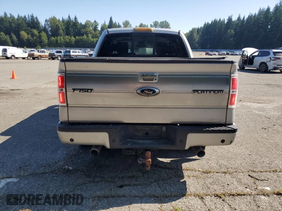 2009 Ford F-150 XL with VIN 1FTPW14V69FA48640, listed as a Copart auction lot 65913475 with 134,839 mi miles and Salvage title. Bid and sale history available at DreamBid. Image 6.