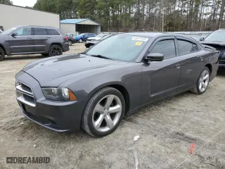 2014 Dodge Charger SXT with VIN 2C3CDXHG7EH359445, listed as a Copart auction lot 43811235 with 219252 miles and Salvage Title. Bid and sale history available at carsss.com. Image 1.