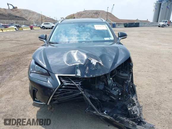 2020 Lexus NX 300 z VIN JTJDARDZ9L5013698, wystawiony jako IAAI lot #42428739 z przebiegiem 33 982 mil mil oraz . Historia ofert i sprzedaży dostępna na DreamBid. Obrazek 11.