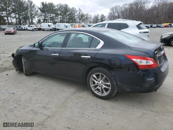 2011 Nissan Maxima 3.5 SV w/Sport Pkg with VIN 1N4AA5AP8BC819100, listed as a Copart auction lot 48051305 with 144,353 mi miles and Salvage Title. Bid and sale history available at carsss.com. Image 2.
