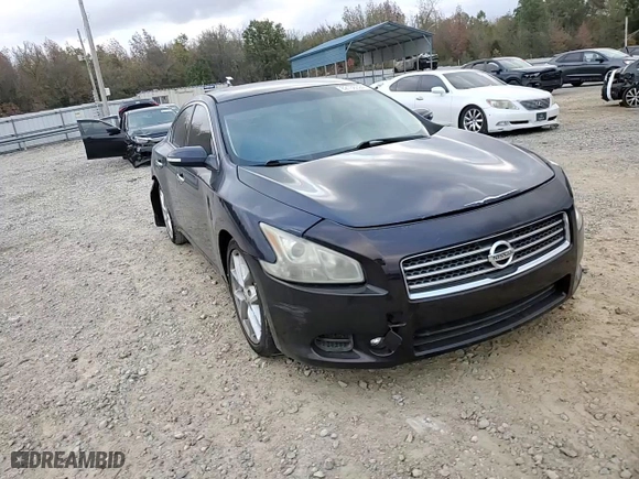 2009 Nissan Maxima 3.5 SV w/Sport Pkg with VIN 1N4AA51E49C832421, listed as a Copart auction lot 82136024 with 258,286 mi miles and Clean Title. Bid and sale history available at carsss.com. Image 10.