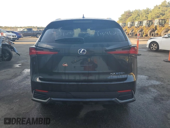 2020 Lexus NX with VIN JTJGJRDZXL2129409, listed as a Copart auction lot 66133333 with 1 mi miles and Salvage Title. Bid and sale history available at carsss.com. Image 6.