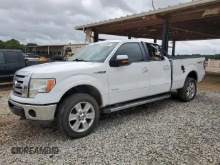 2012 Ford F-150 XL with VIN 1FTFW1ET9CFB21242, listed as a Copart auction lot 60359805 with 245,576 mi miles and Salvage title. Bid and sale history available at DreamBid. Image 1.