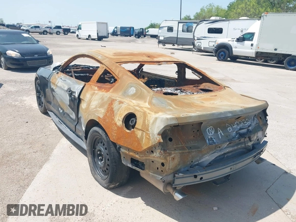 2020 Ford Mustang EcoBoost with VIN 1FA6P8THXL5154380, listed as a IAAI auction lot 41696159 with Not Provided miles and . Bid and sale history available at carsss.com. Image 3.