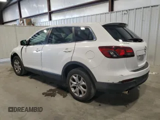 2014 Mazda CX-9 Touring with VIN JM3TB2CA9E0432253, listed as a Copart auction lot 52918325 with 177,097 mi miles and Clean Title. Bid and sale history available at carsss.com. Image 2.