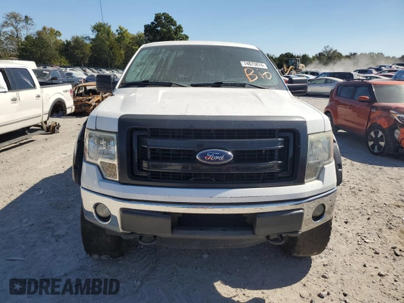 2012 Ford F-150 XL with VIN 1FTFW1EF5CFB56290, listed as a Copart auction lot 74875874 with 233,978 mi miles and Salvage title. Bid and sale history available at DreamBid. Image 5.