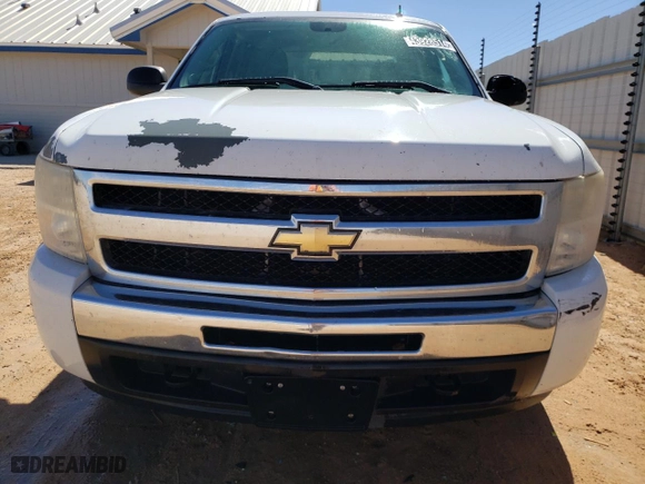 2010 Chevrolet Silverado 1500 LS with VIN 3GCRKREA0AG266297, listed as a Copart auction lot 43928514 with 183,721 mi miles and Clean Title. Bid and sale history available at carsss.com. Image 5.