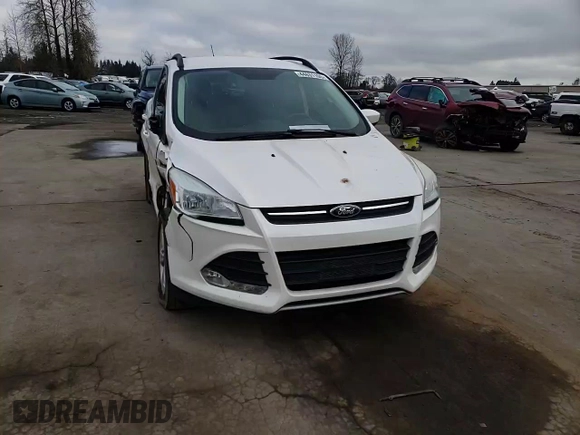 2014 Ford Escape SE with VIN 1FMCU9GX2EUB46825, listed as a Copart auction lot 44631105 with 133,827 mi miles and Salvage Title. Bid and sale history available at carsss.com. Image 10.