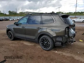 2024 Kia Telluride SX Prestige X-Line с VIN 5XYP5DGC1RG466602, выставлен на аукционе Copart как лот 58376625 с пробегом 19 350 миль миль и Списание • Salvage title. История ставок и продаж доступна на DreamBid. Изображение 2.