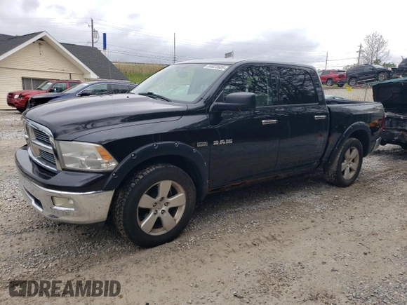 2009 Dodge 1500 SLT with VIN 1D3HV13T19S702739, listed as a Copart auction lot 55923585 with 125,251 mi miles and Clean Title. Bid and sale history available at carsss.com. Image 1.