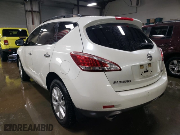 2013 Nissan Murano SV with VIN JN8AZ1MW8DW314047, listed as a Copart auction lot 49010405 with 161,773 mi miles and Salvage Title. Bid and sale history available at carsss.com. Image 2.