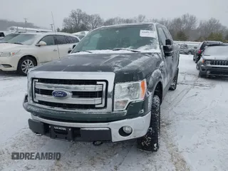 2013 Ford F-150 with VIN 1FTVW1EF4DKE07465, listed as a IAAI auction lot 41601235 with 131,721 mi miles and . Bid and sale history available at DreamBid. Image 17.