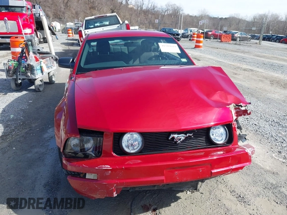2009 Ford Mustang with VIN 1ZVHT80N695136392, listed as a IAAI auction lot 41509619 with 141,563 mi miles and . Bid and sale history available at carsss.com. Image 12.