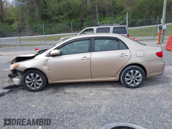 2011 Toyota Corolla L with VIN JTDBU4EEXB9147935, listed as a IAAI auction lot 42084049 with 29,573 mi miles and . Bid and sale history available at DreamBid. Image 14.