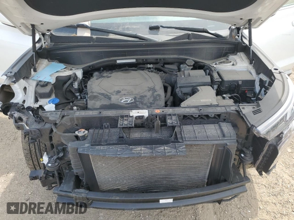 2020 Hyundai Palisade SE z VIN KM8R1DHEXLU065619, wystawiony jako Copart lot #55265735 z przebiegiem 74 015 mil mil oraz Szkoda całkowita • Salvage title. Historia ofert i sprzedaży dostępna na DreamBid. Obrazek 12.
