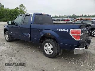 2011 Ford F-150 XL with VIN 1FTFX1ET2BFC30346, listed as a Copart auction lot 59801175 with 215,924 mi miles and Salvage title. Bid and sale history available at DreamBid. Image 2.