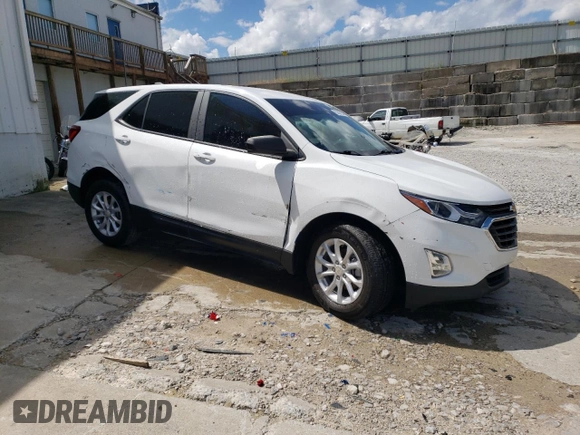 2021 Chevrolet Equinox LS with VIN 3GNAXFEV8MS173102, listed as a Copart auction lot 55698654 with 47,046 mi miles and Salvage title. Bid and sale history available at DreamBid. Image 4.