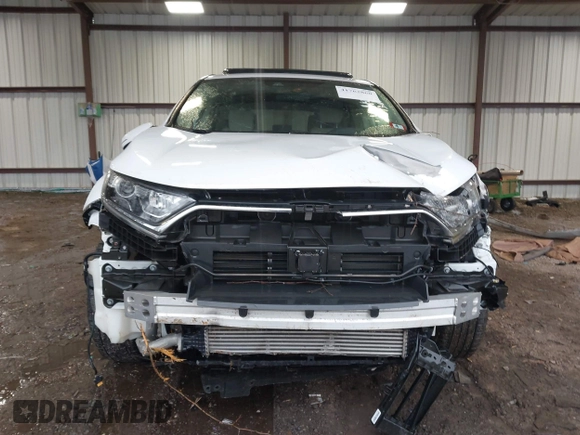 2019 Honda CR-V EX with VIN 2HKRW2H56KH641449, listed as a IAAI auction lot 41762860 with 181,557 mi miles and . Bid and sale history available at DreamBid. Image 13.