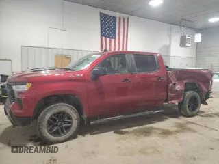 2022 Chevrolet Silverado 1500 LT Trail Boss with VIN 3GCUDFELXNG604797, listed as a Copart auction lot 87466664 with 36,182 mi miles and Salvage Title. Bid and sale history available at DreamBid. Image 1.
