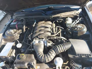 2005 Ford Mustang GT Deluxe with VIN 1ZVHT82H455205677, listed as a IAAI auction lot 42651512 with 221,876 mi miles and . Bid and sale history available at DreamBid. Image 10.