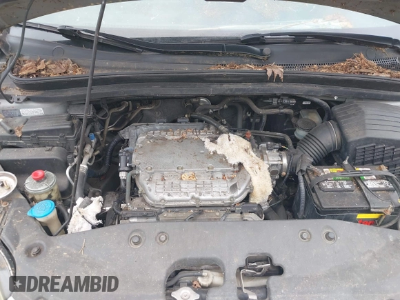 2005 Honda Odyssey EX-L with VIN 5FNRL38685B031644, listed as a IAAI auction lot 42267739 with 223,537 mi miles and . Bid and sale history available at DreamBid. Image 10.