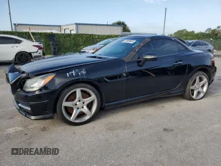 2013 Mercedes-Benz SLK-Class SLK 250 with VIN WDDPK4HA9DF061496, listed as a Copart auction lot 59889904 with 94,123 mi miles and Salvage Title. Bid and sale history available at carsss.com. Image 1.